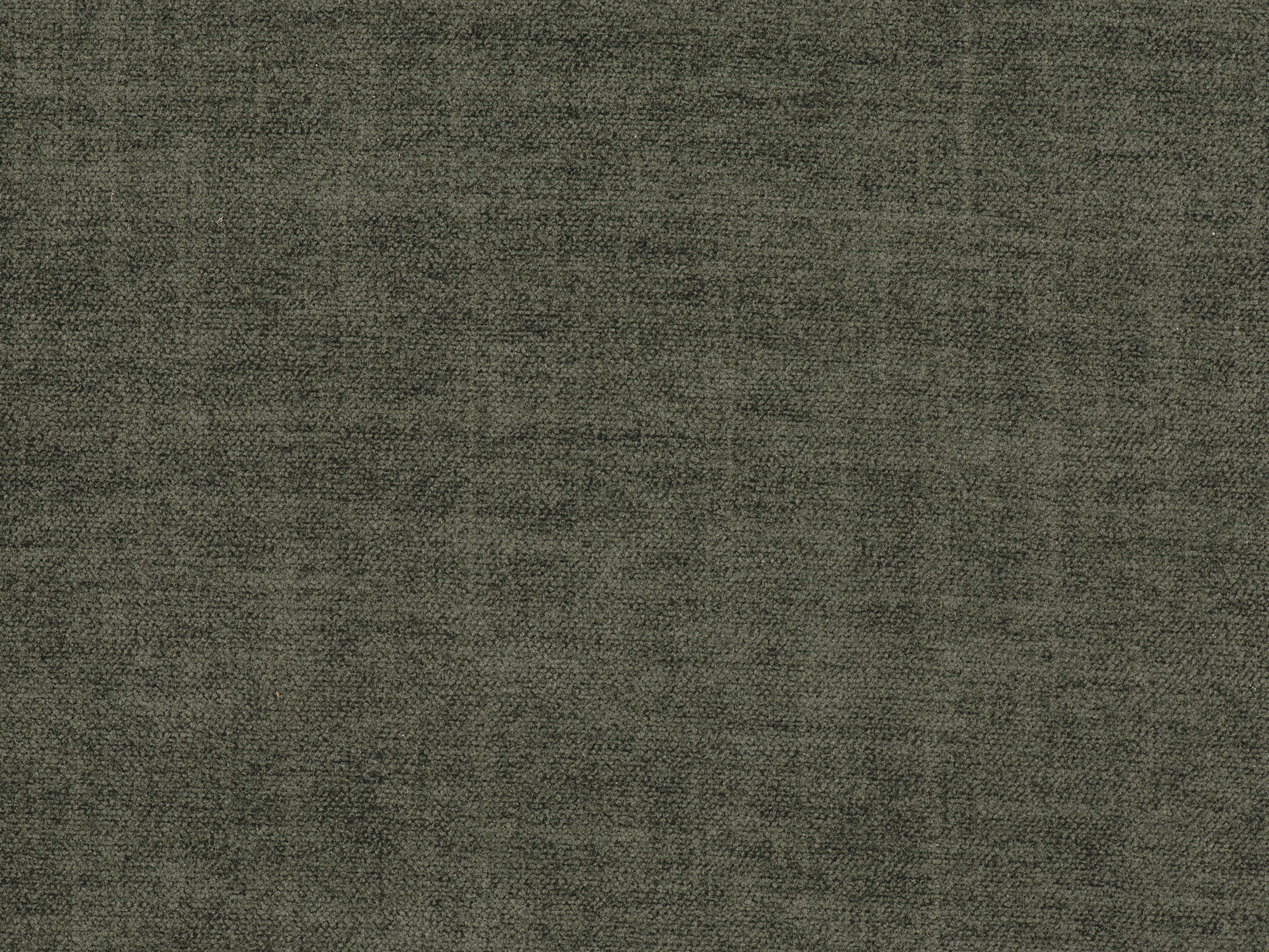 fghjfgjh Ansel Rain Forest Fabric 6x9 HU-ANSEL-RAINFOR-TD