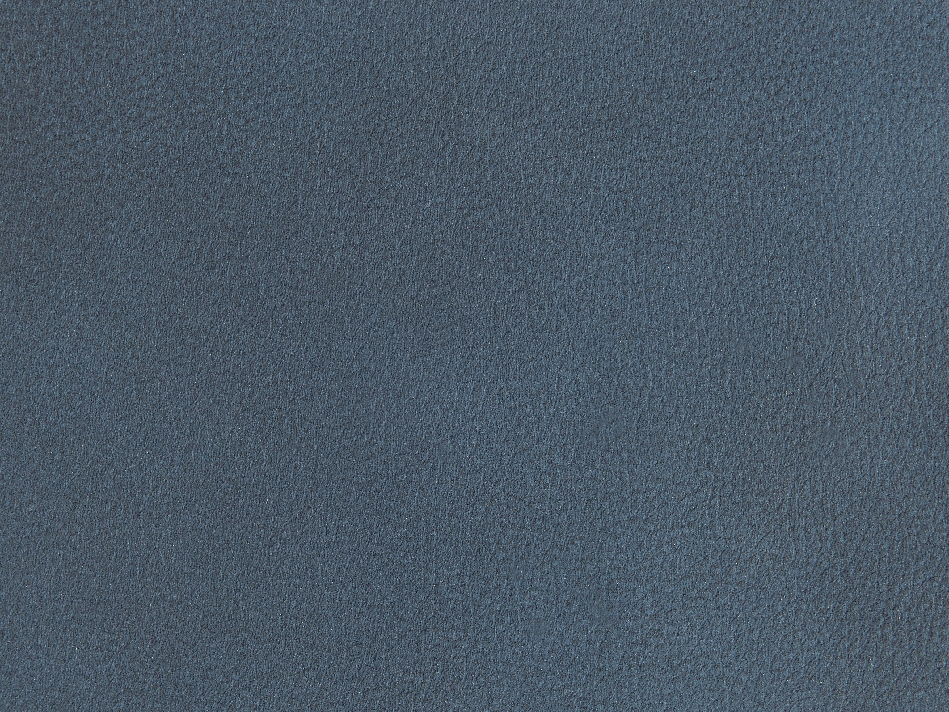 fghjfgjh Buckskin Navy Swatch Card HU-BUCKSKIN-NAVY-SC
