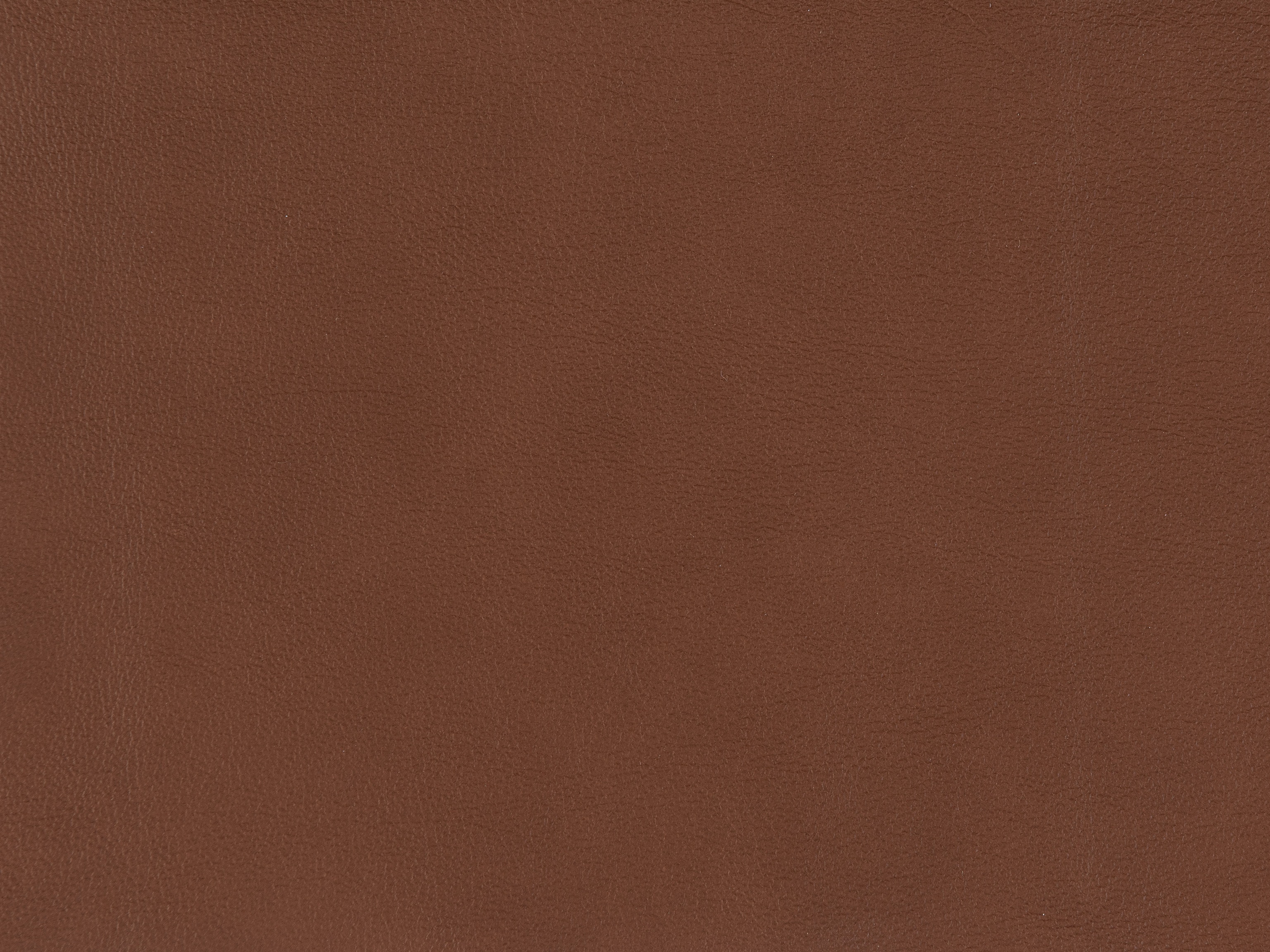 fghjfgjh Candid Spice Swatch Card HU-CANDID-SPICE-SC