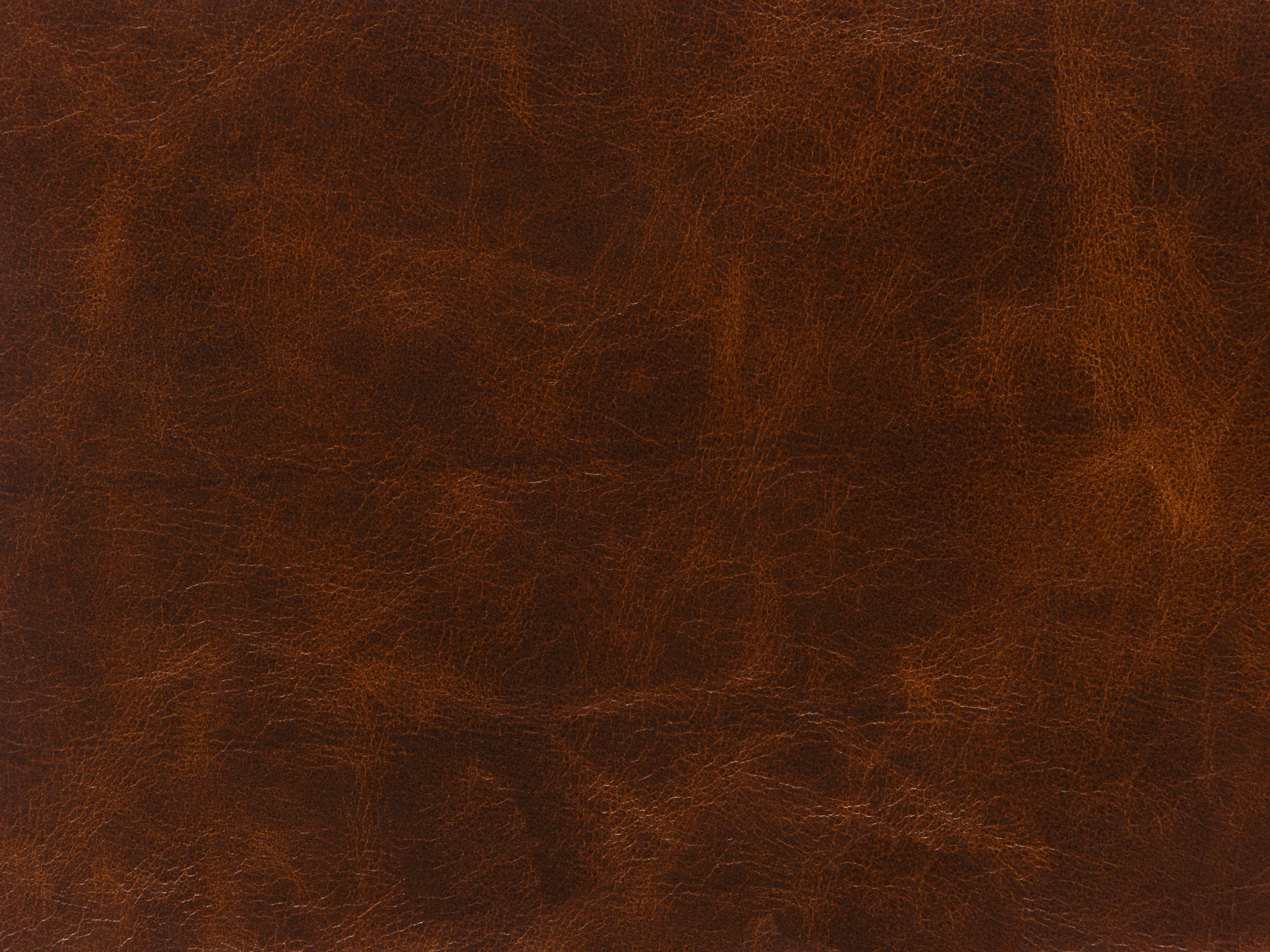 fghjfgjh Carrington Walnut Swatch Card HU-CARRINGTON-WAL-SC