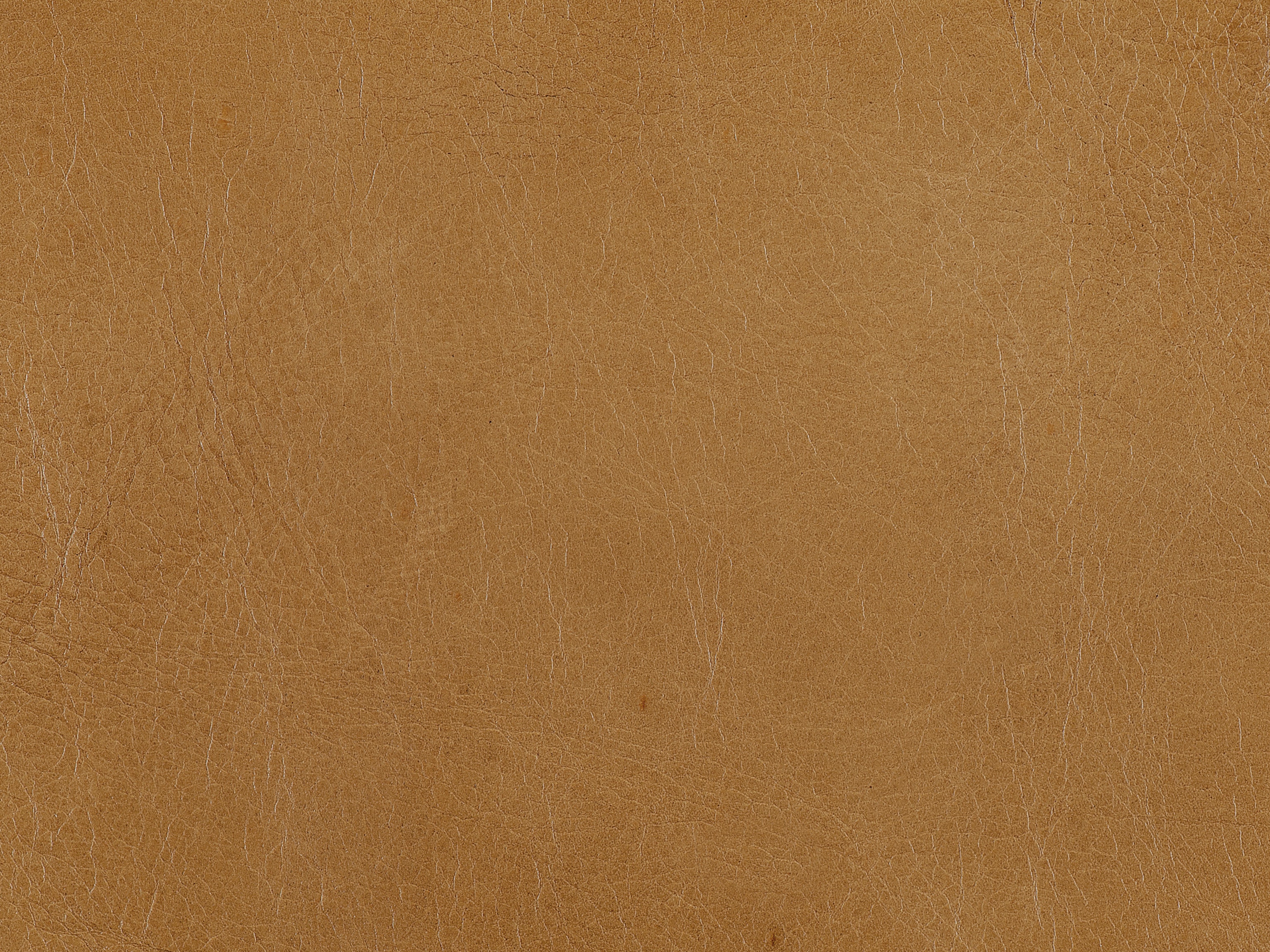 fghjfgjh Dark Blonde Leather 6x9 HU-DARK-BLONDE-TD