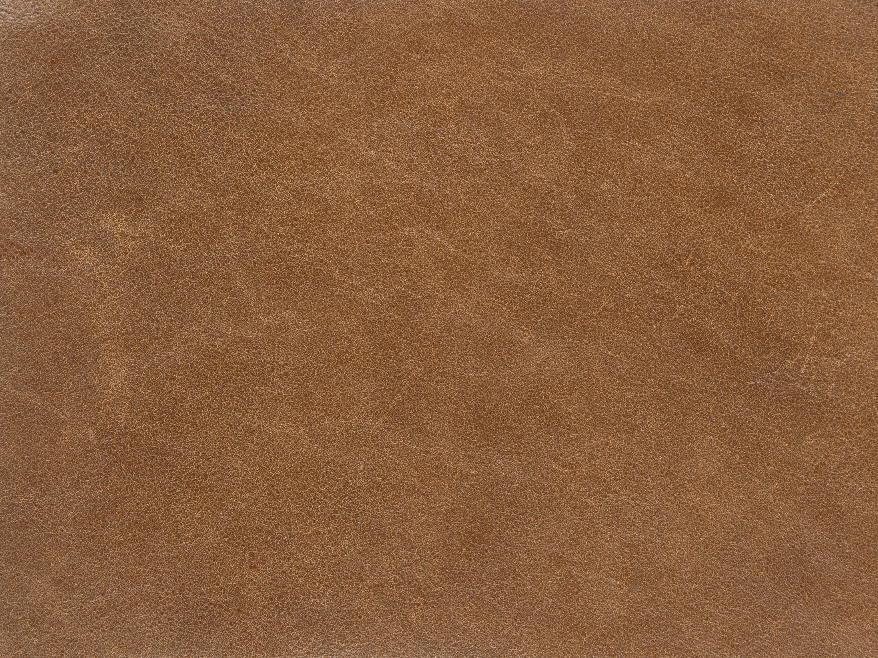 fghjfgjh Denver Coffee Swatch Card HU-DENVER-COFFEE-SC