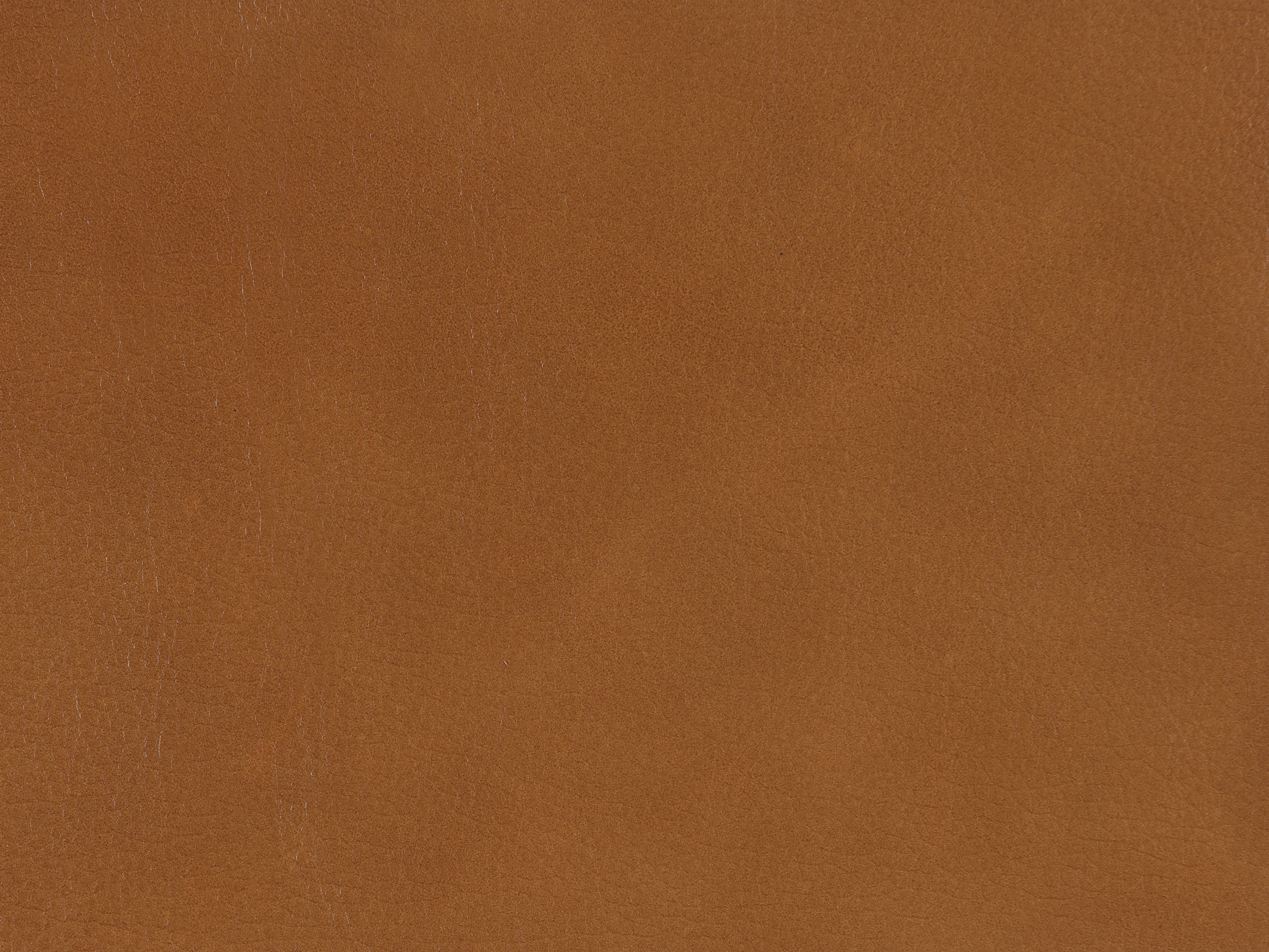 fghjfgjh Derrick Honey Swatch Card HU-DERRICK-HONEY-SC