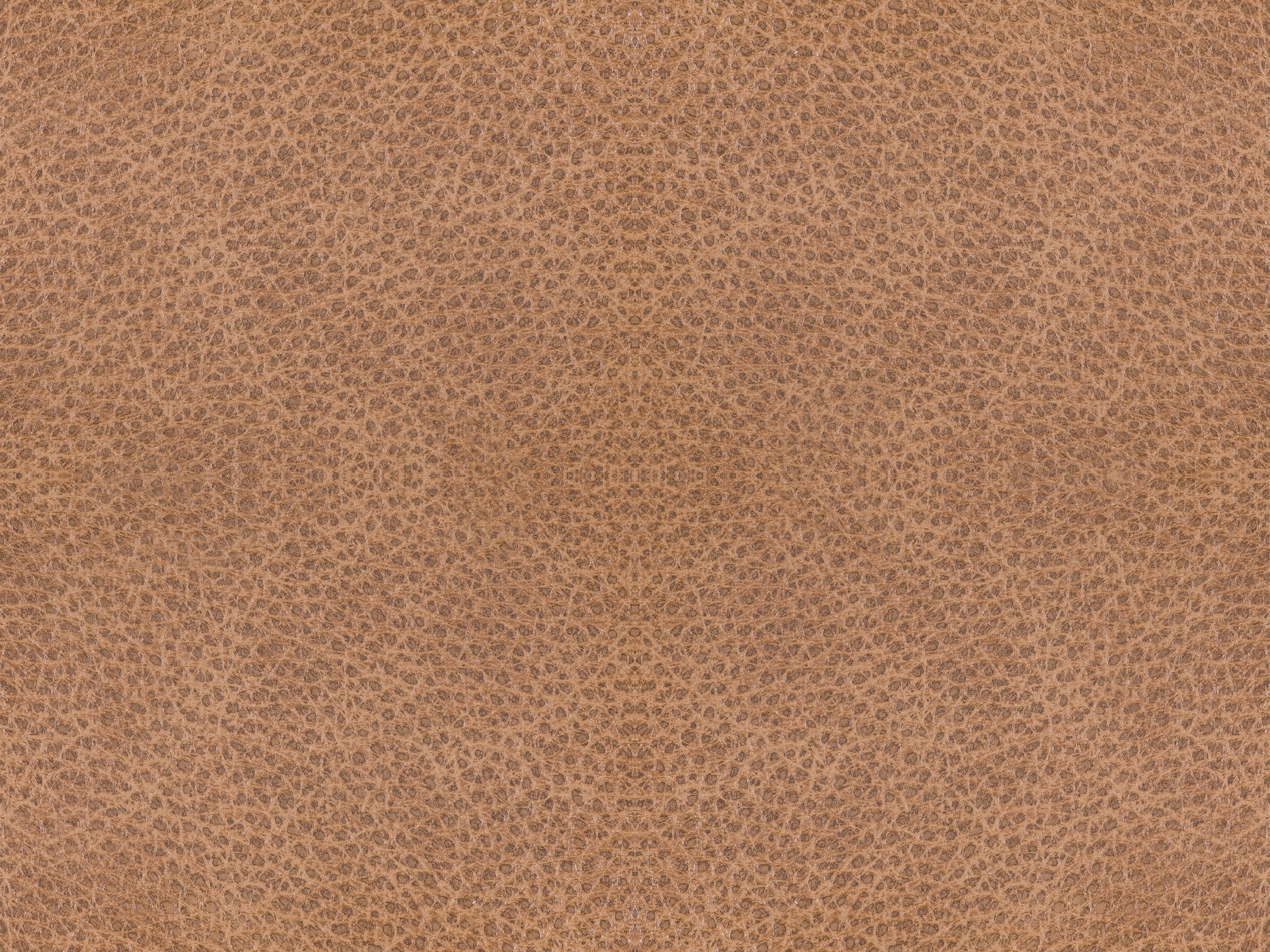 fghjfgjh Fawn L753 6X9 HU-FAWN-L753-TD