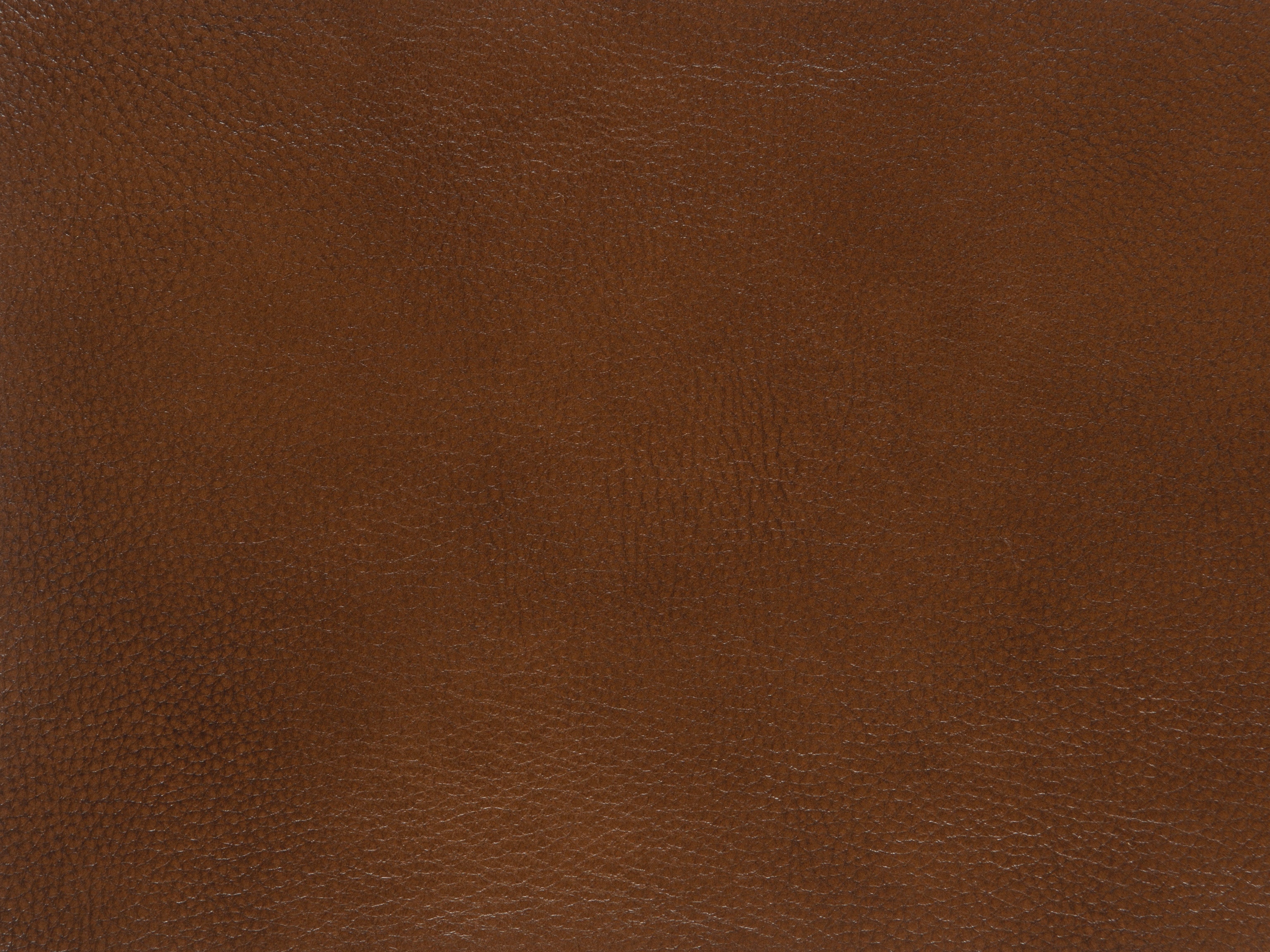 fghjfgjh Giotto 2753 Leather Swatch Card HU-GIOTTO-2753-SC