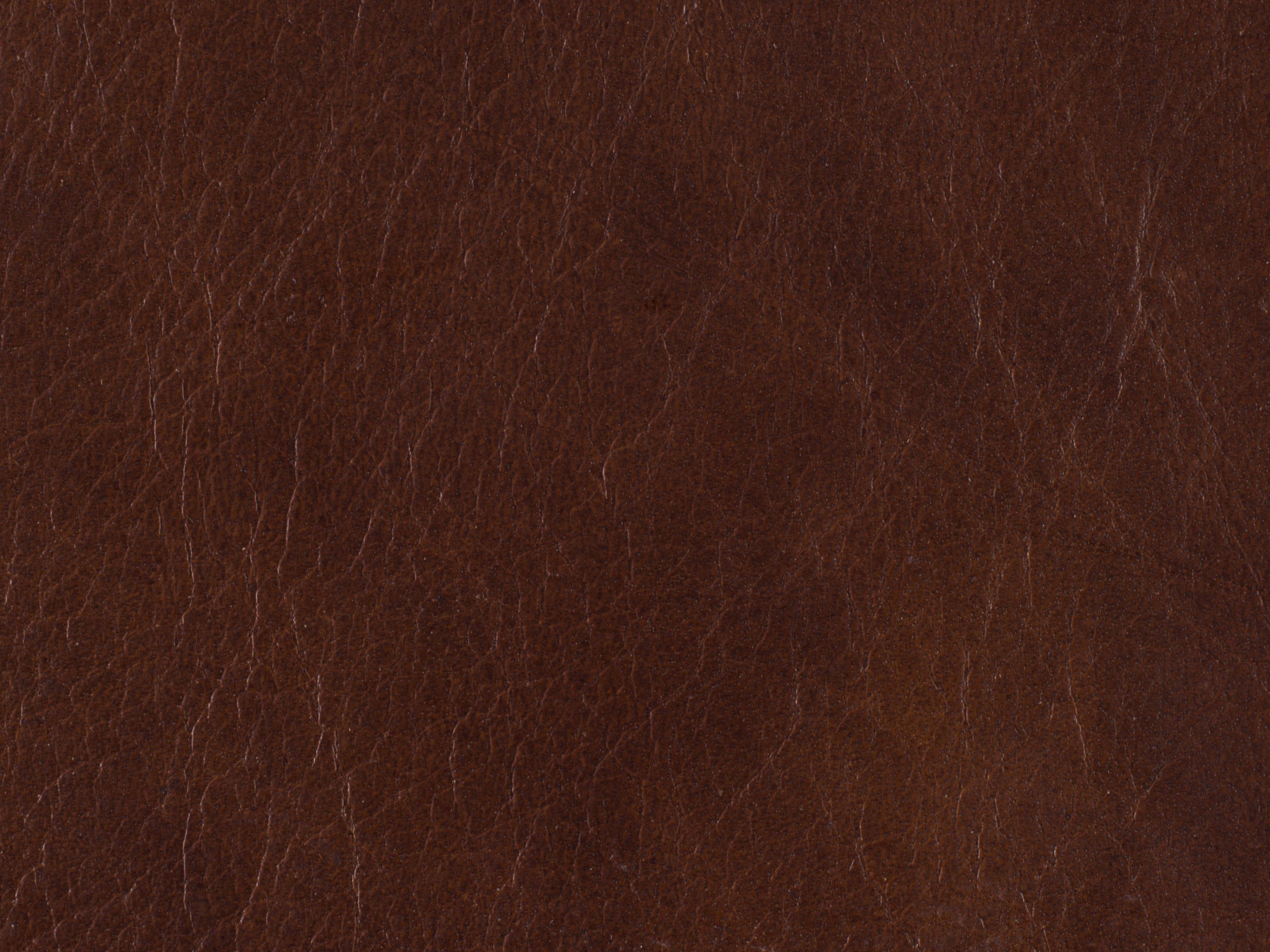 fghjfgjh EC389-085 Halona Native Leather 3x3 Swatch HU-HALONA-NATIVE-SC
