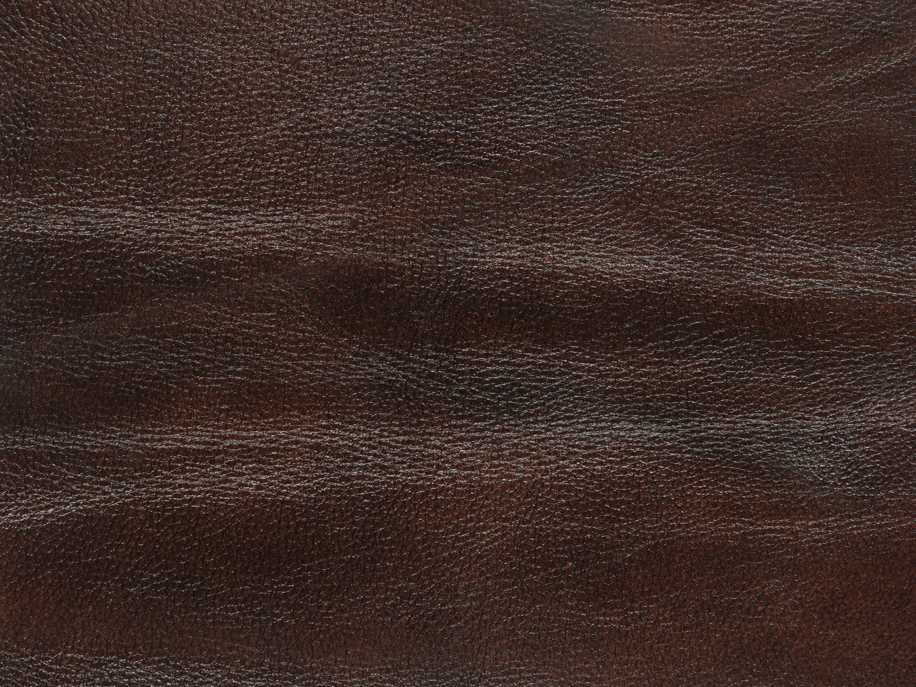 fghjfgjh Homestead Leather Swatch Card HU-HOMESTEAD-SC