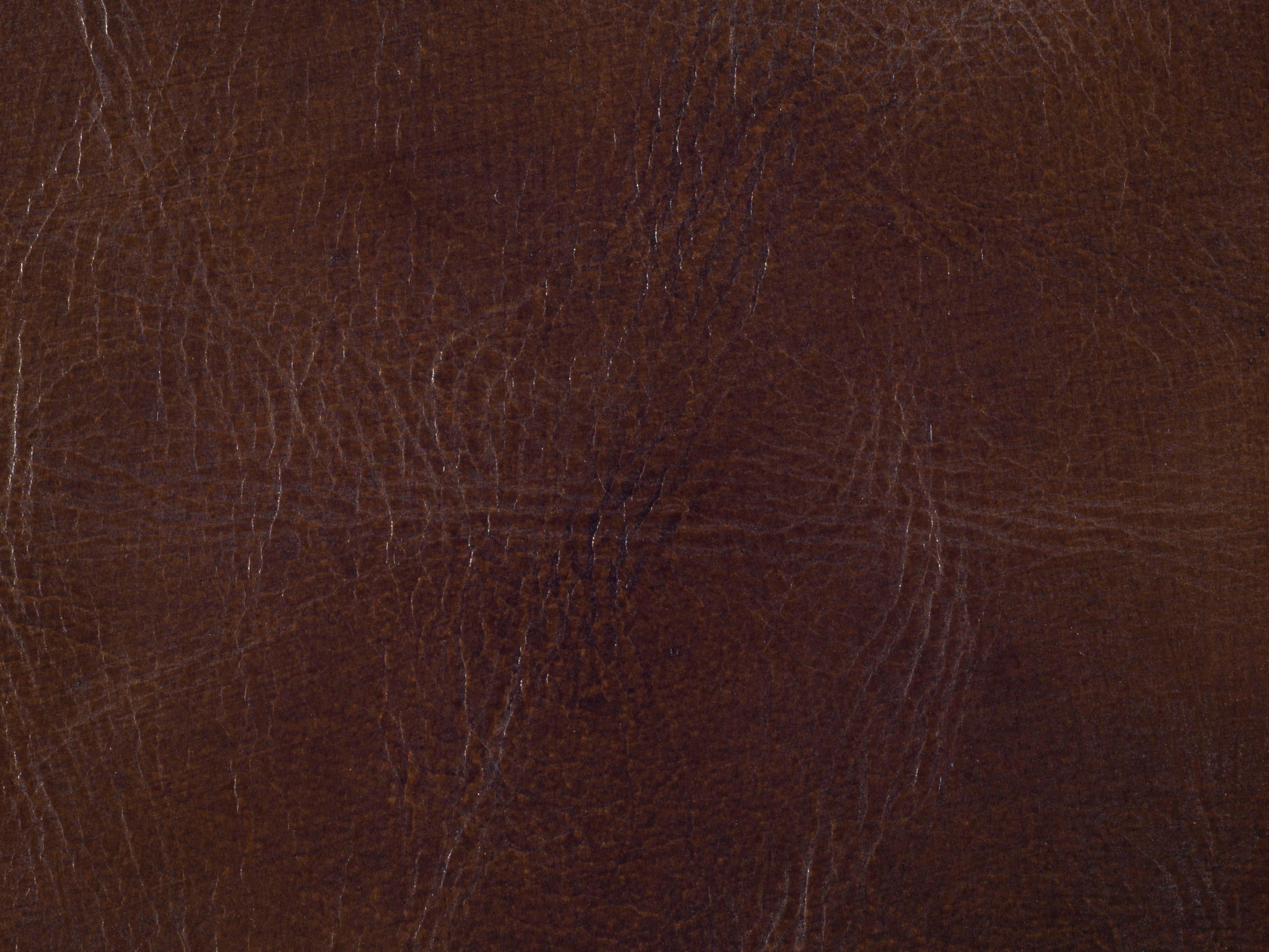 fghjfgjh Isadora Coffee Swatch Card HU-ISADORA-COFFEE-SC