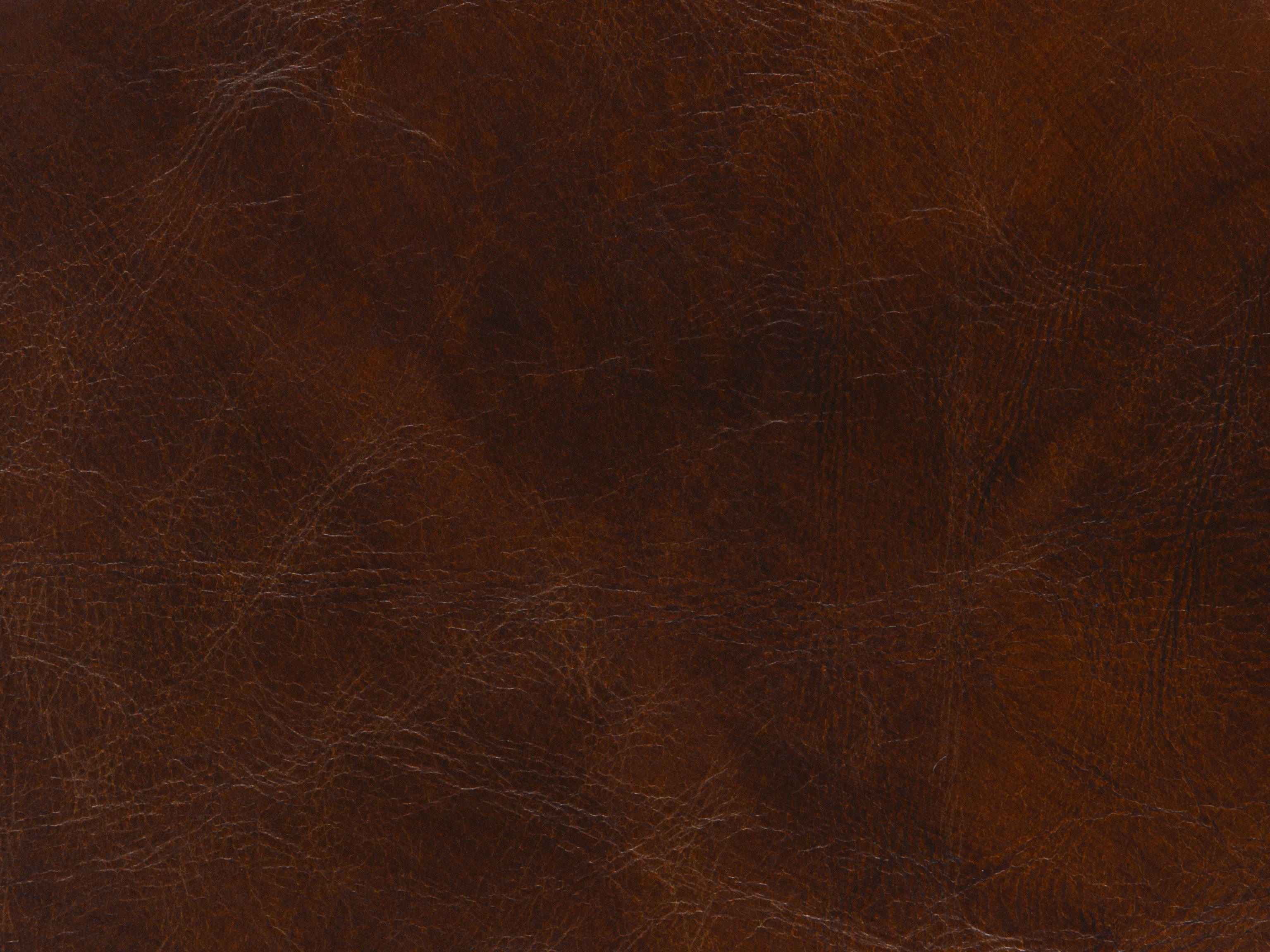 fghjfgjh EC458-086 Isadora Nut Leather 3x3 Swatch HU-ISADORA-NUT-SC