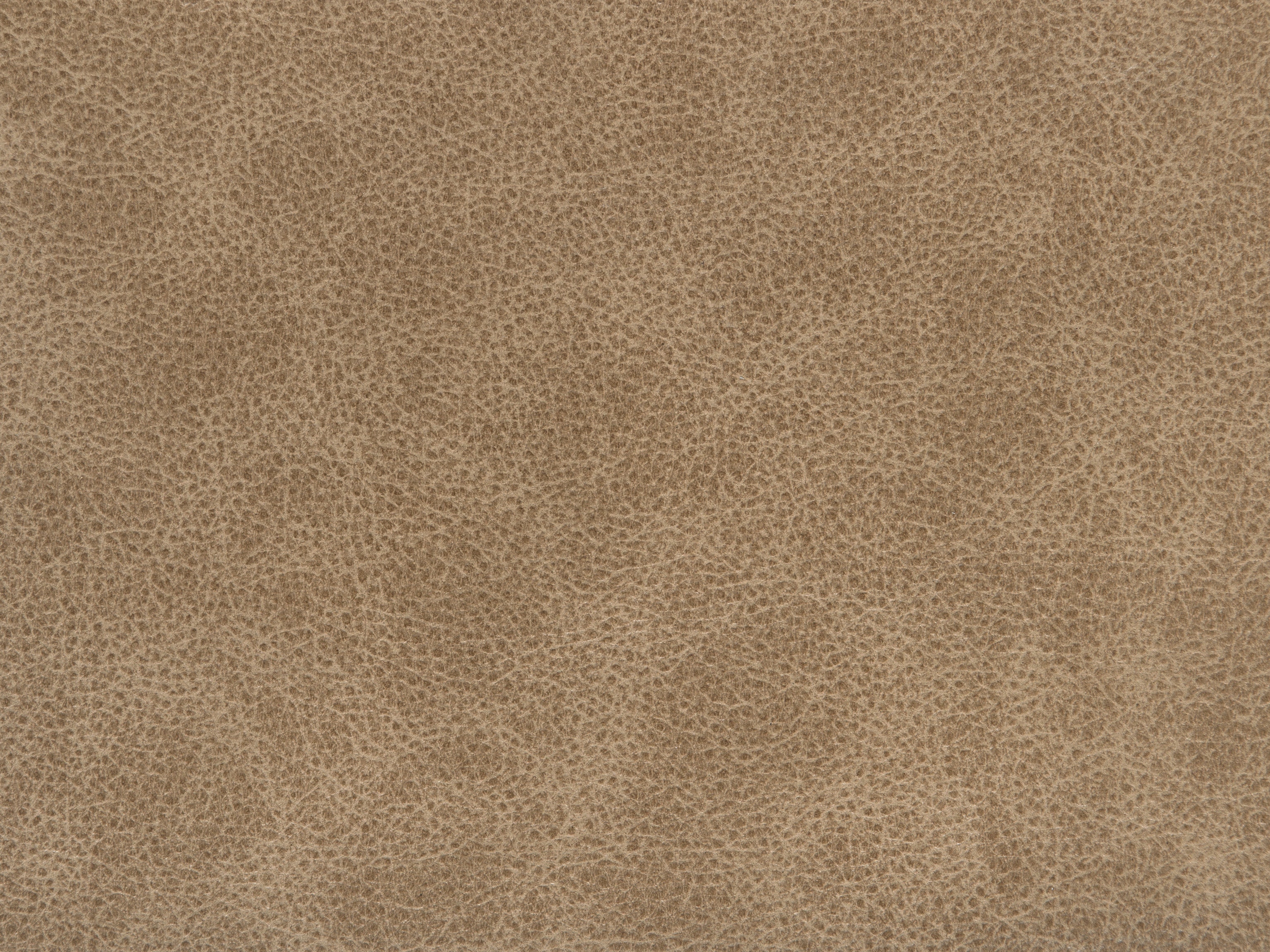 fghjfgjh Latte Leather 6x9 HU-LATTE-TD