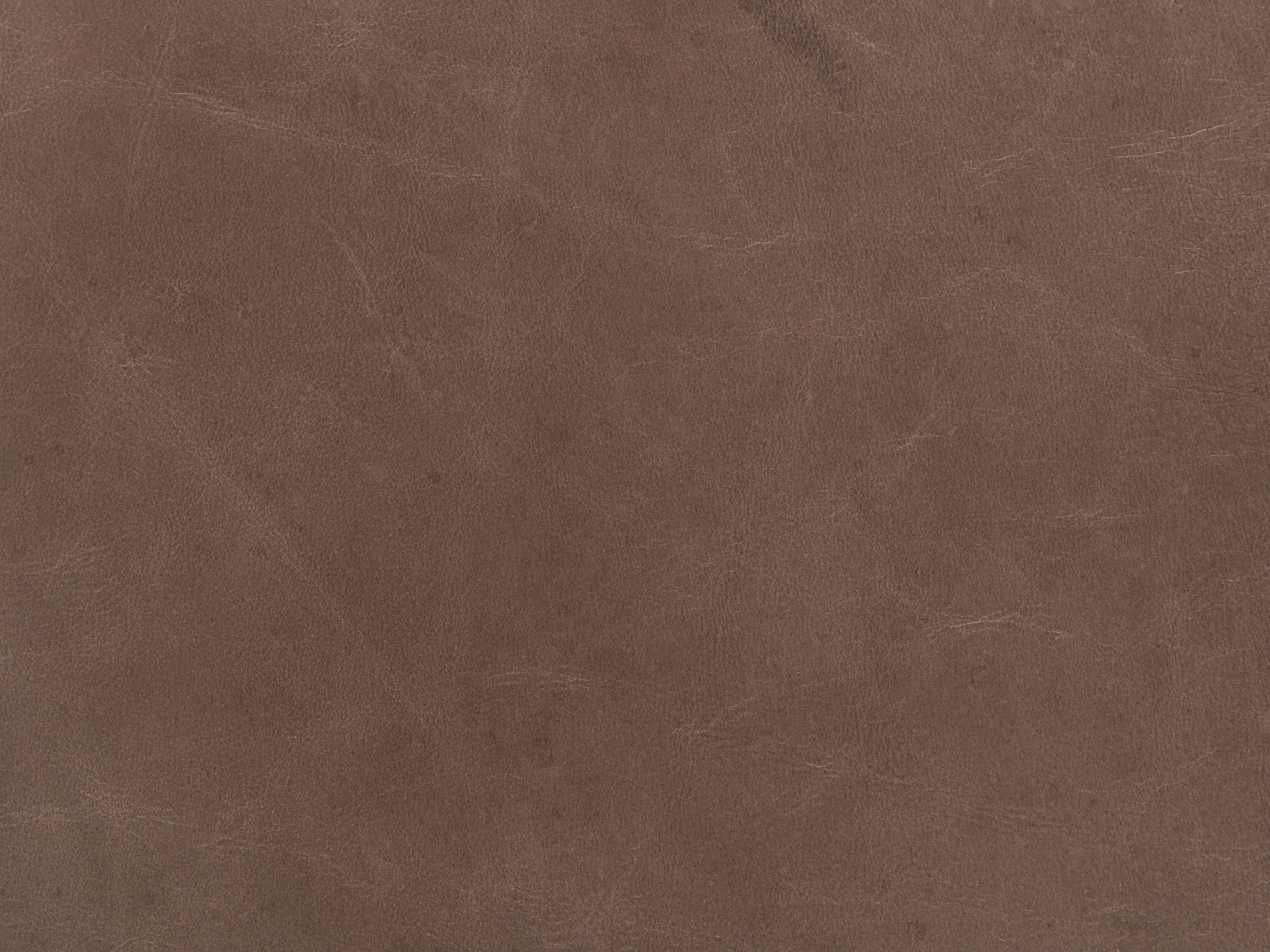 fghjfgjh Light Mocha 156-973 Swatch Card HU-LT-MOCHA156973-SC