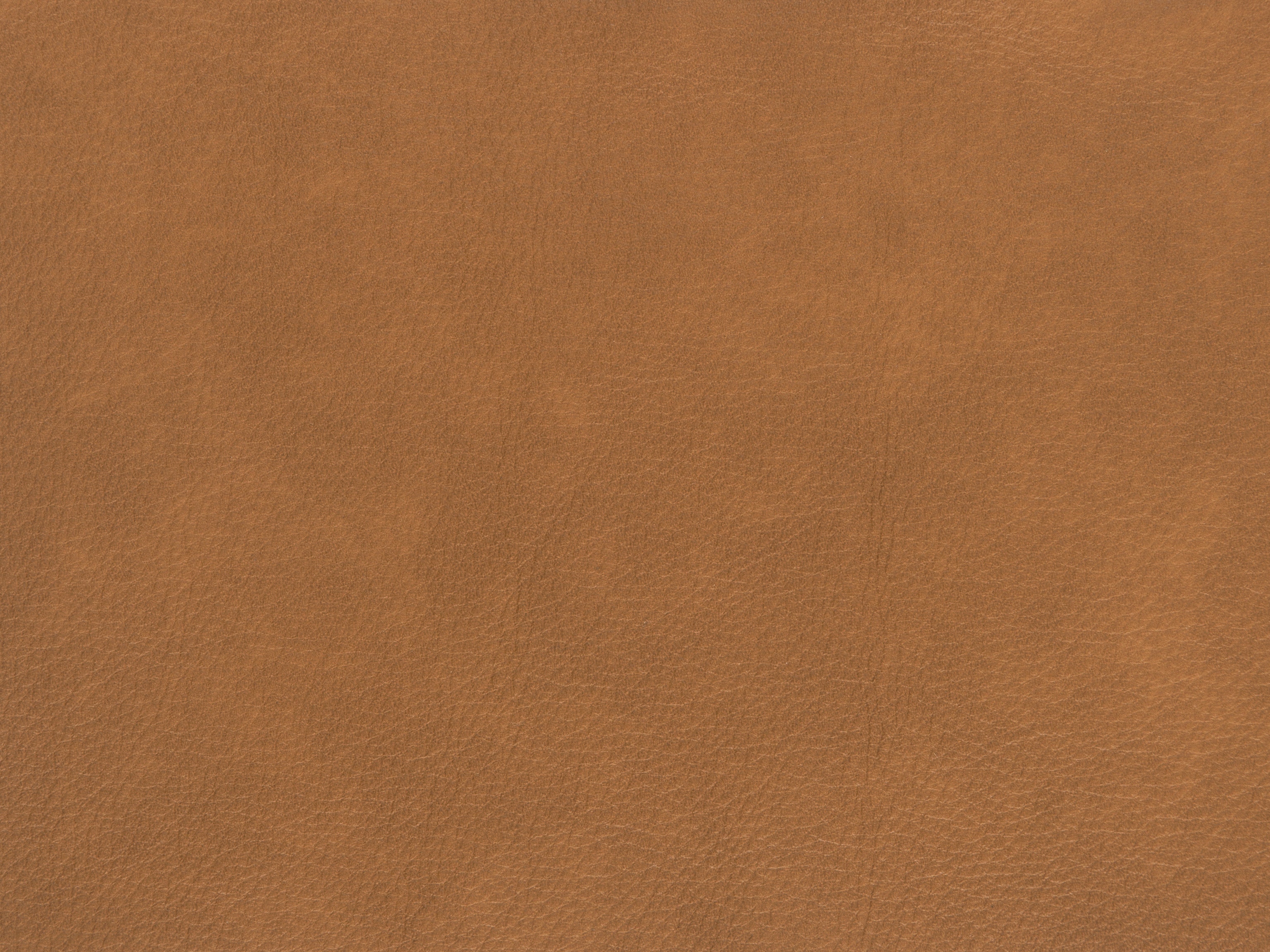 fghjfgjh Oslo Antelope Swatch Card HU-OSLO-ANTELOPE-SC