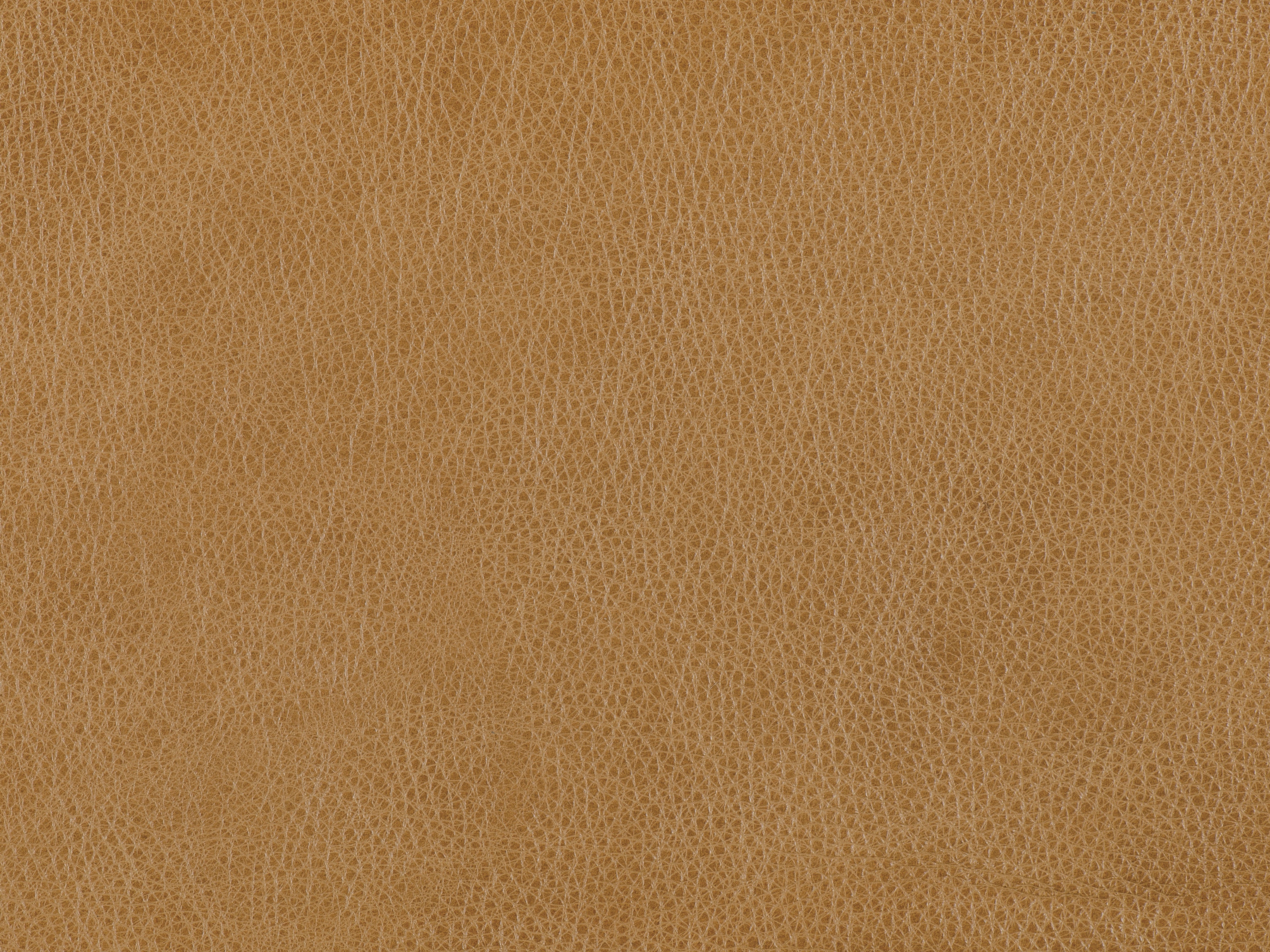 fghjfgjh Pleasant Brittle Leather 6x9 HU-PLEASANT-BRIT-TD