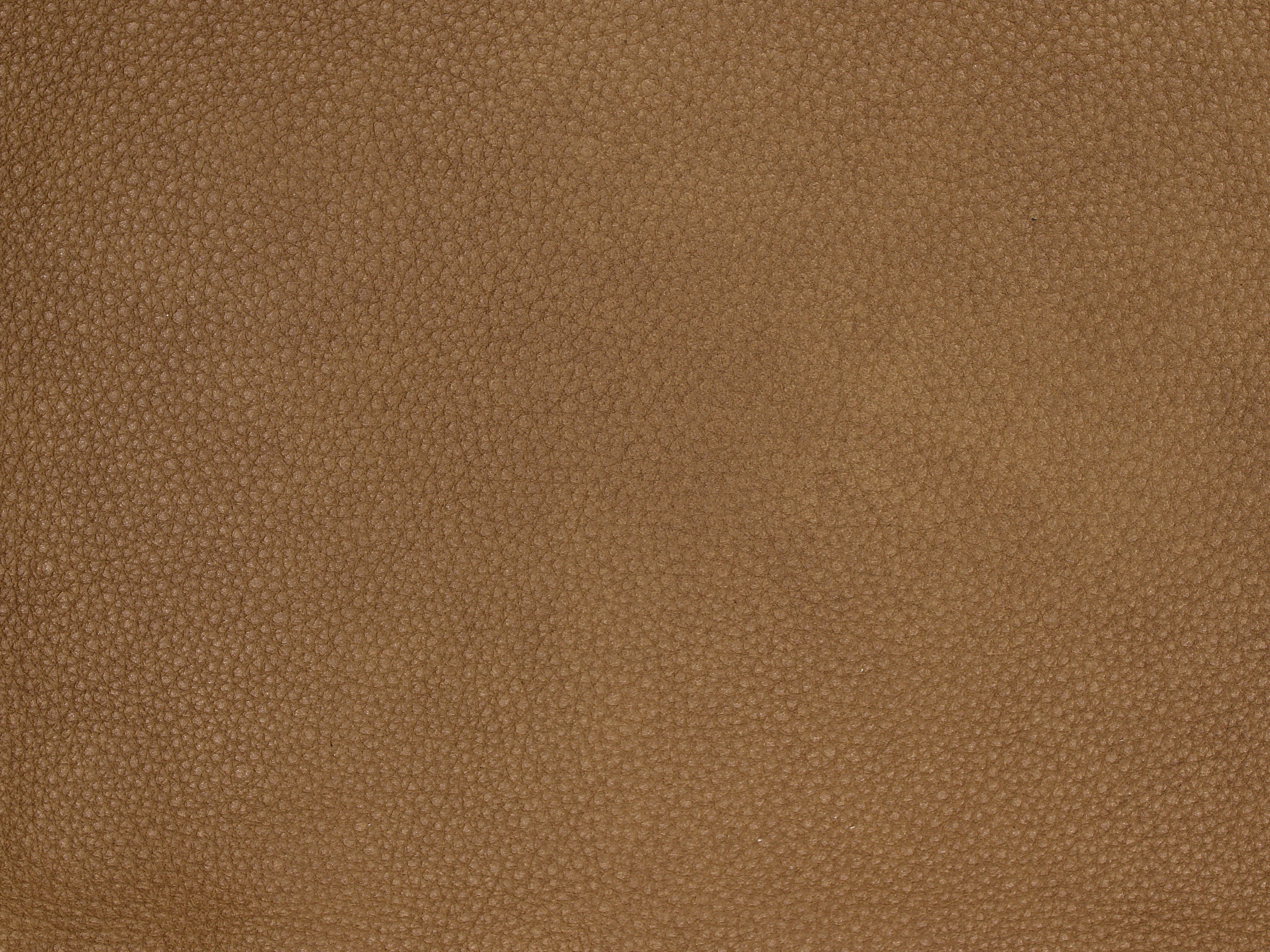 fghjfgjh Rogue Camel Swatch Card HU-ROGUE-CAMEL-SC