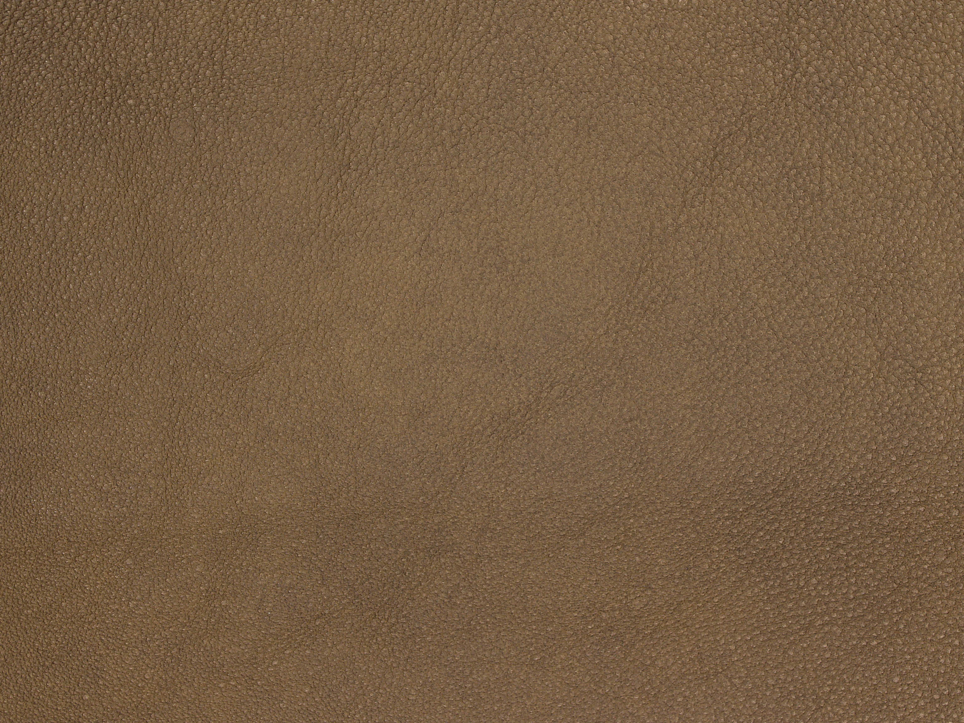 fghjfgjh Rogue Walnut Teardrop HU-ROGUE-WALNUT-TD