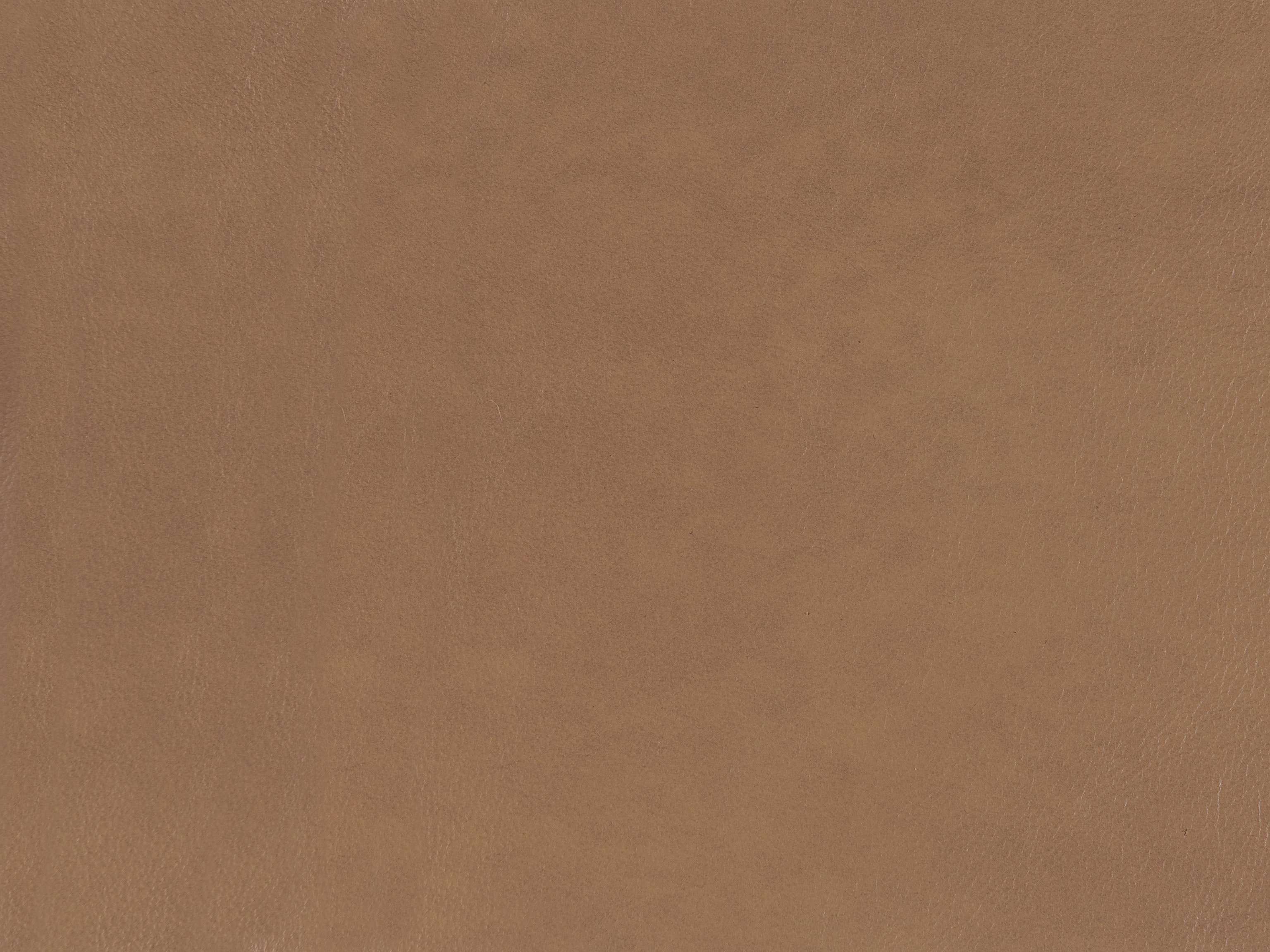 fghjfgjh Sahara Sandalwood Teardrop HU-SAHARASANDWOOD-TD