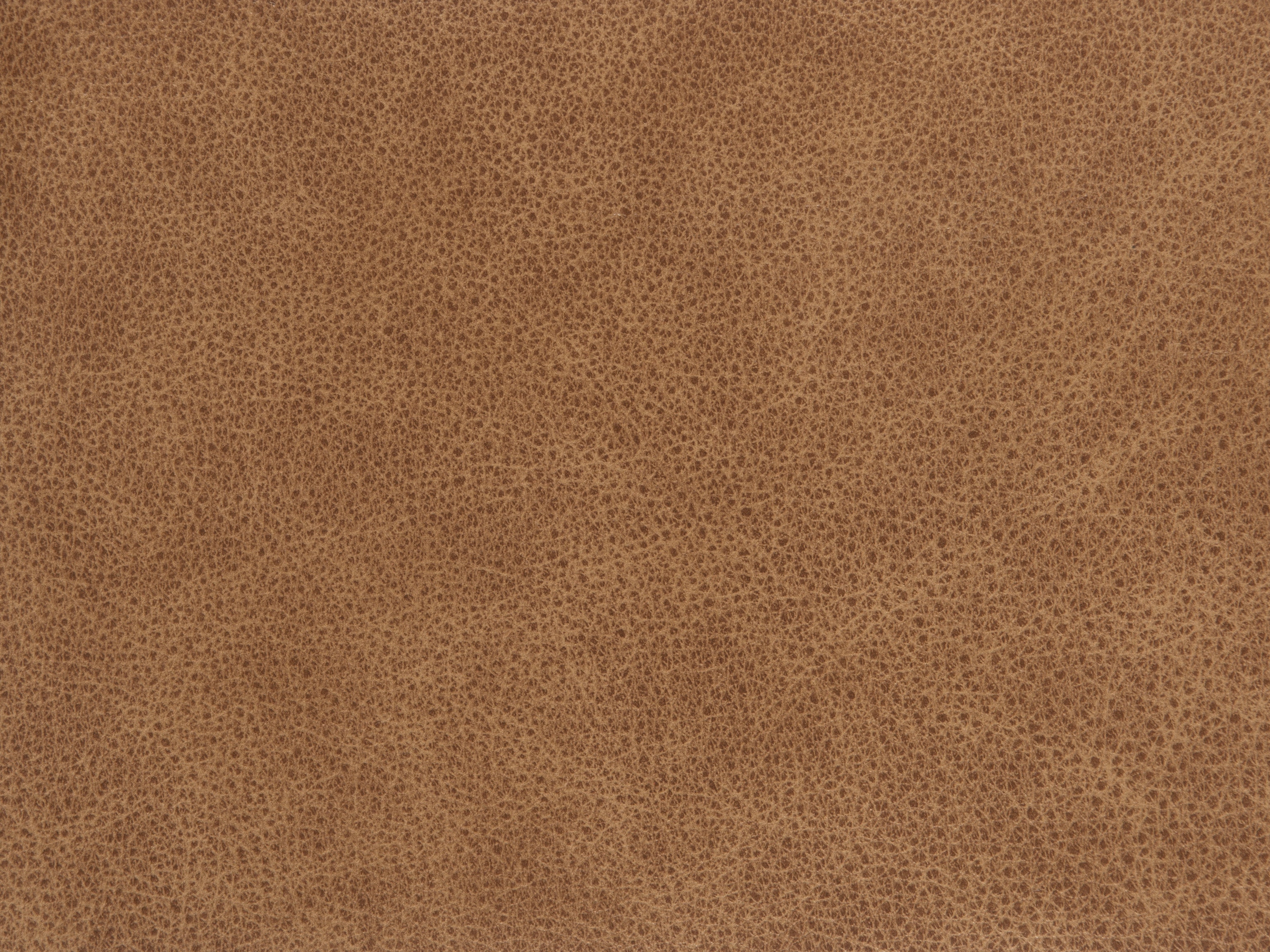 fghjfgjh Seville Fawn Swatch Card HU-SEVILLE-FAWN-SC
