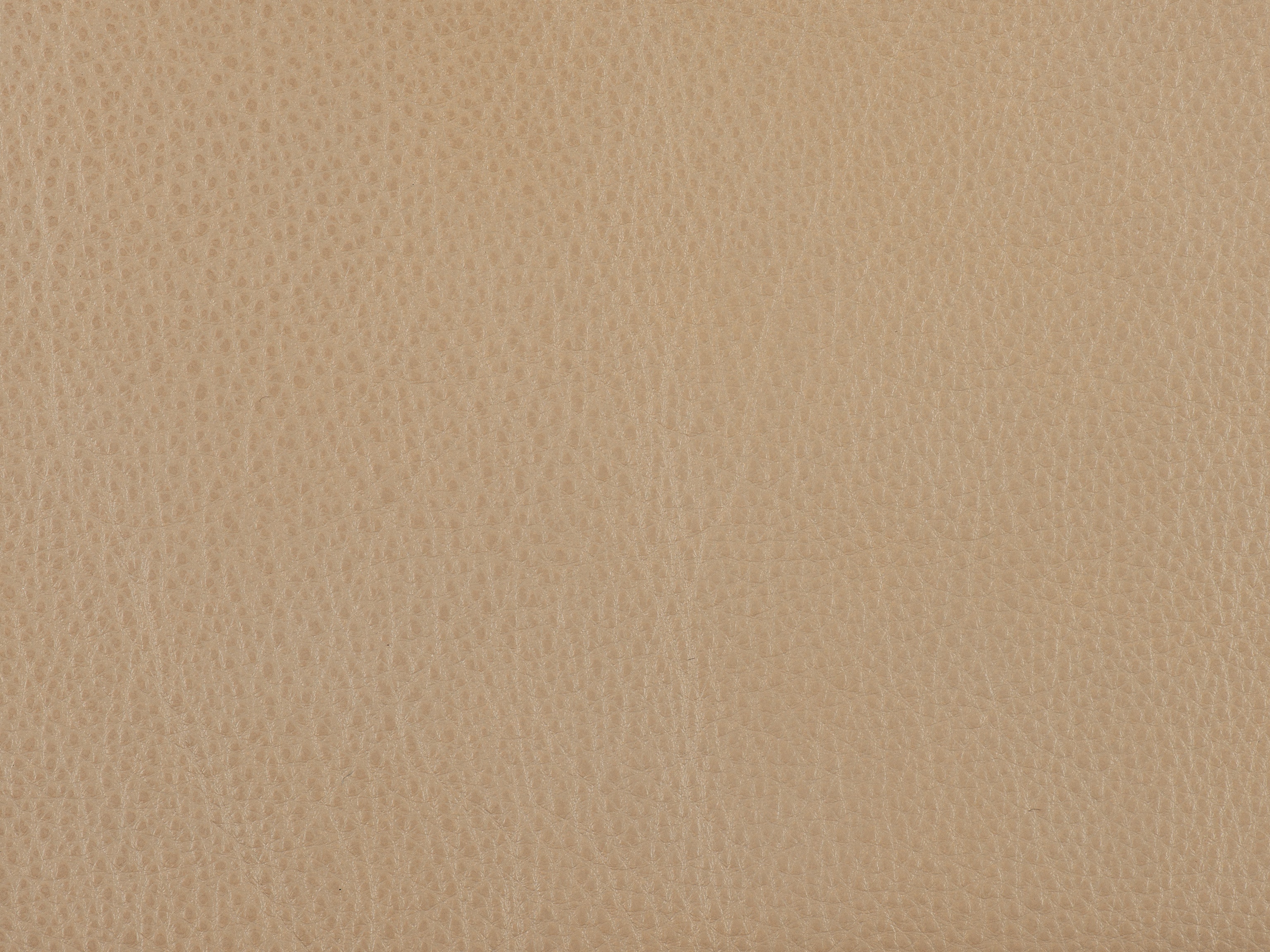 fghjfgjh Sorrento Sand Leather 6x9 HU-SORRENTO-SAND-TD