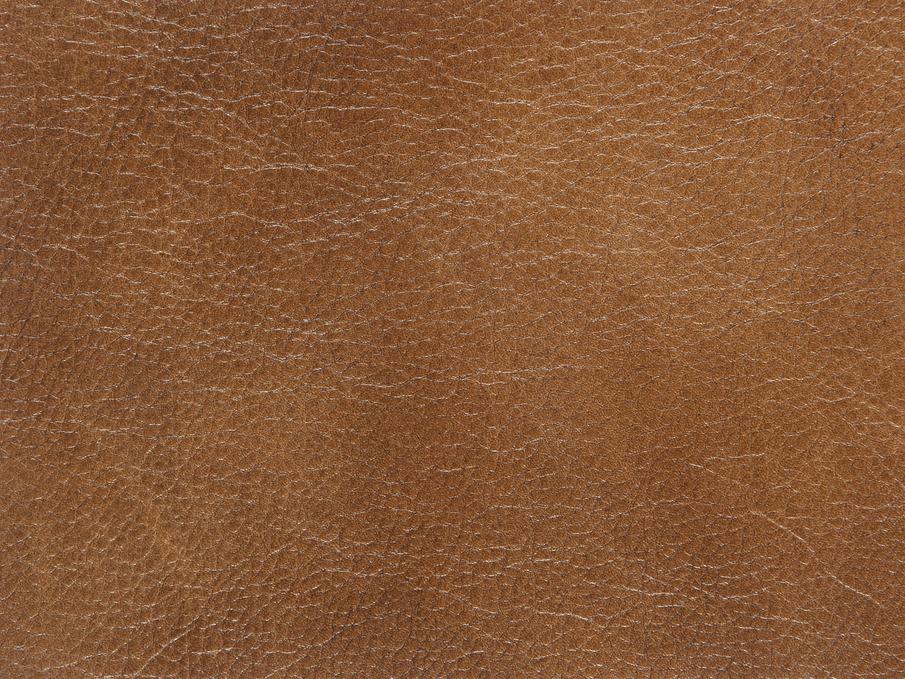 fghjfgjh Taupe 366-102 Swatch Card HU-TAUPE-366-102-SC