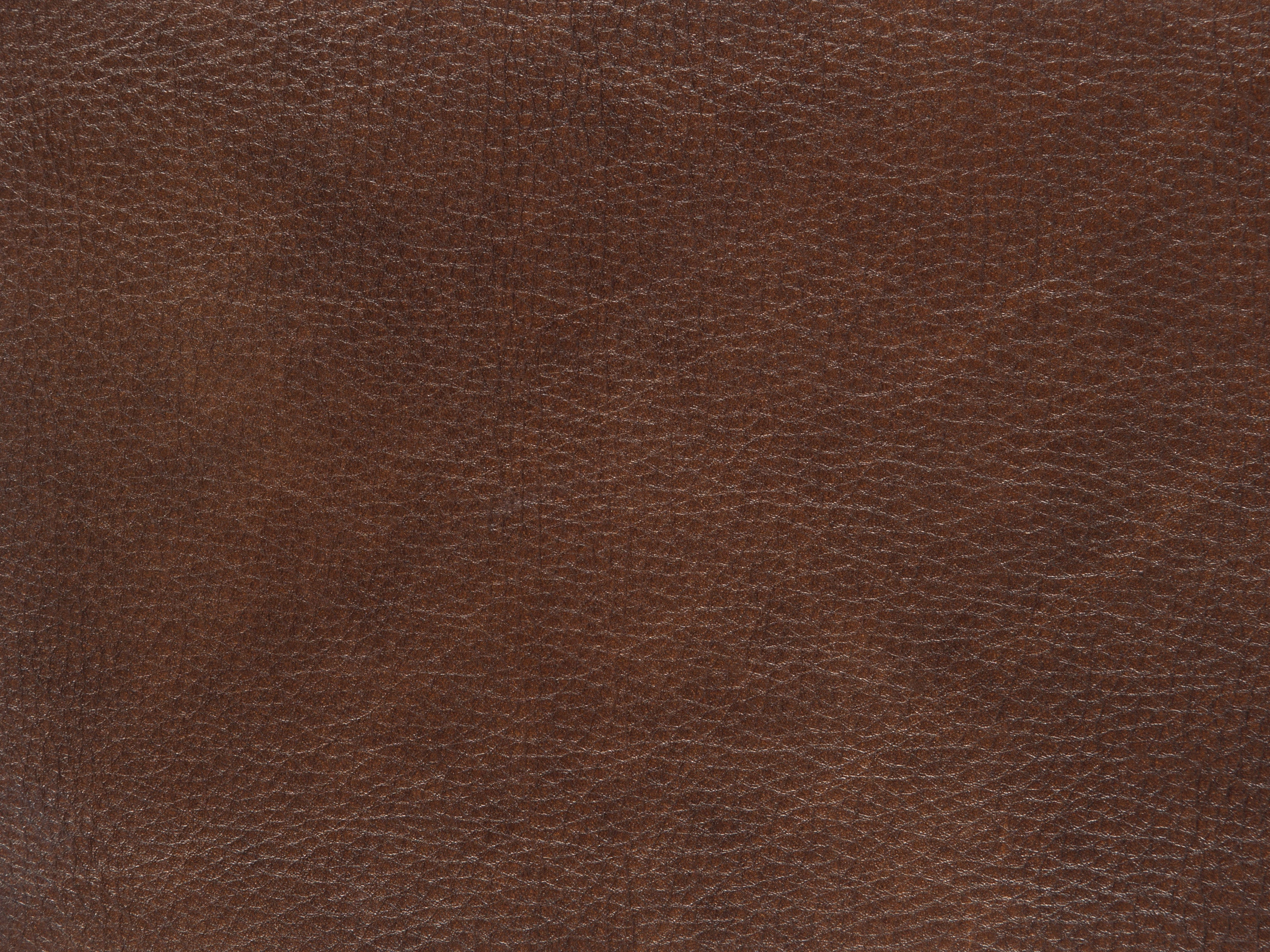 fghjfgjh Truffle 215-131 Swatch Card HU-TRUFFLE-215131-SC