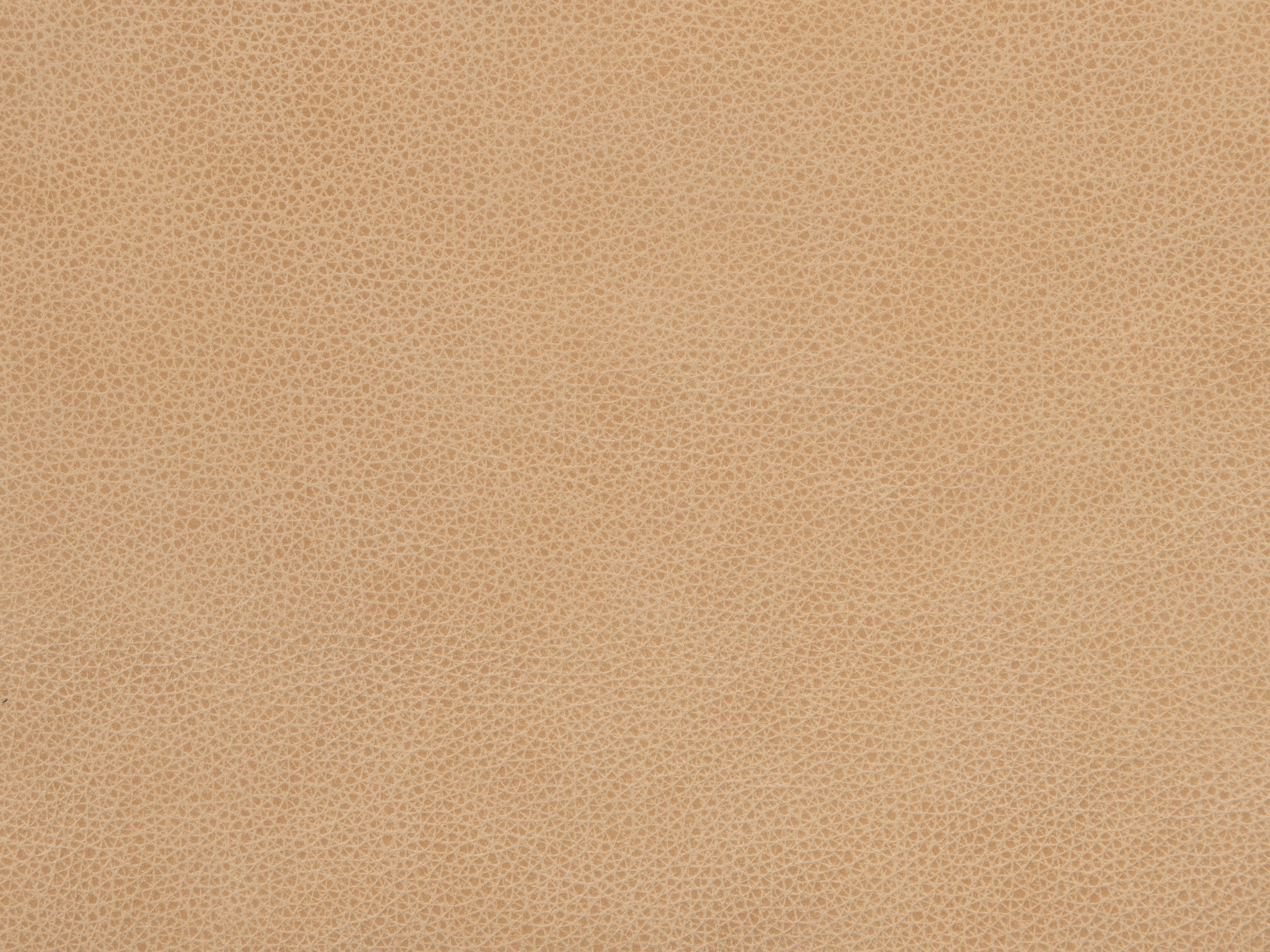 fghjfgjh Verona Biscotti Swatch Card HU-VERONA-BISCOT-SC