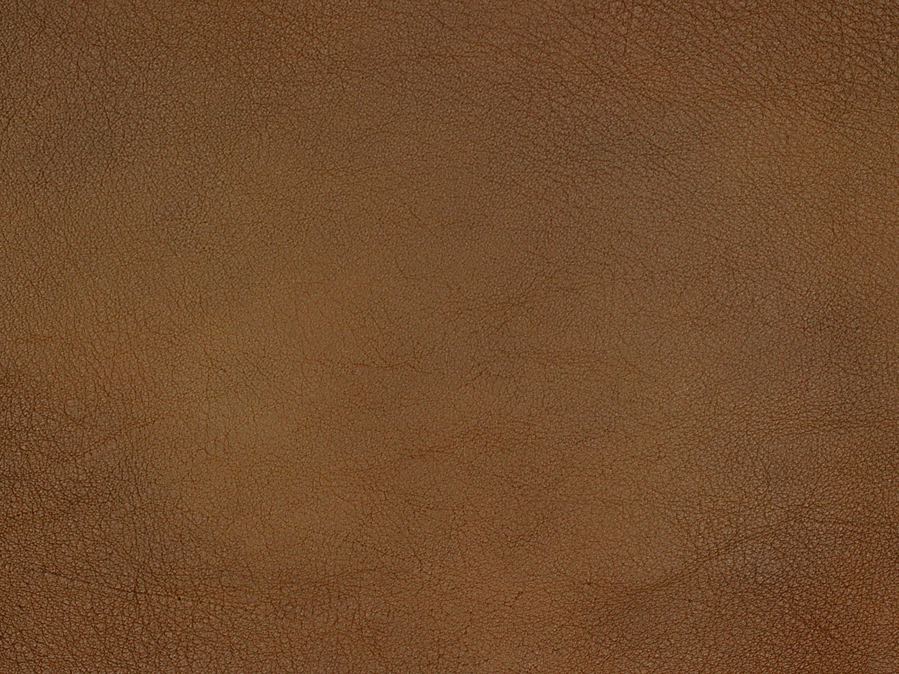 fghjfgjh Voyage Cedar Teardrop HU-VOYAGE-CEDAR-TD