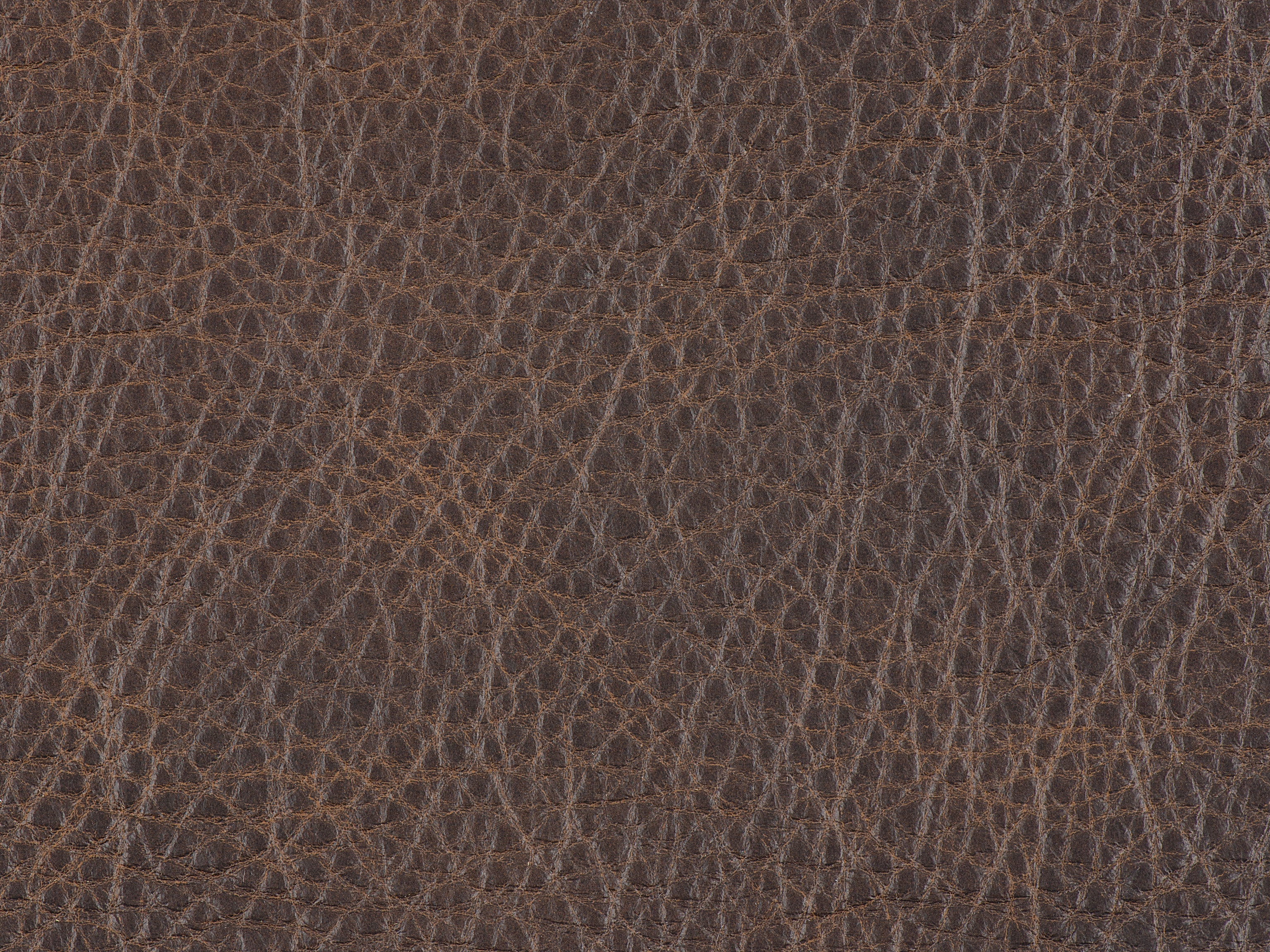 fghjfgjh West Saddlewood 6x9 Swatch HU-WESTSADDLEWOOD-TD