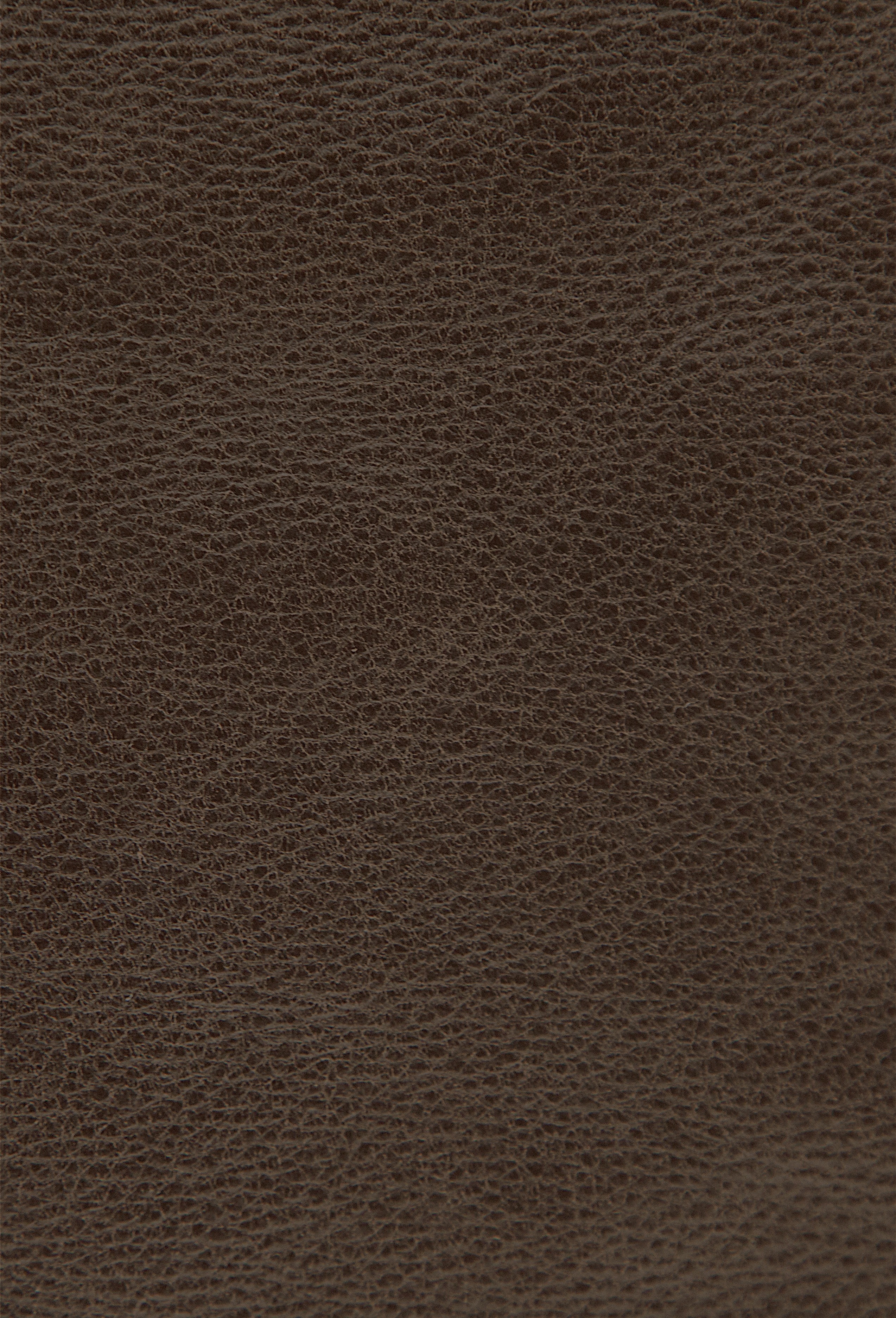 Appaloosa Cacao