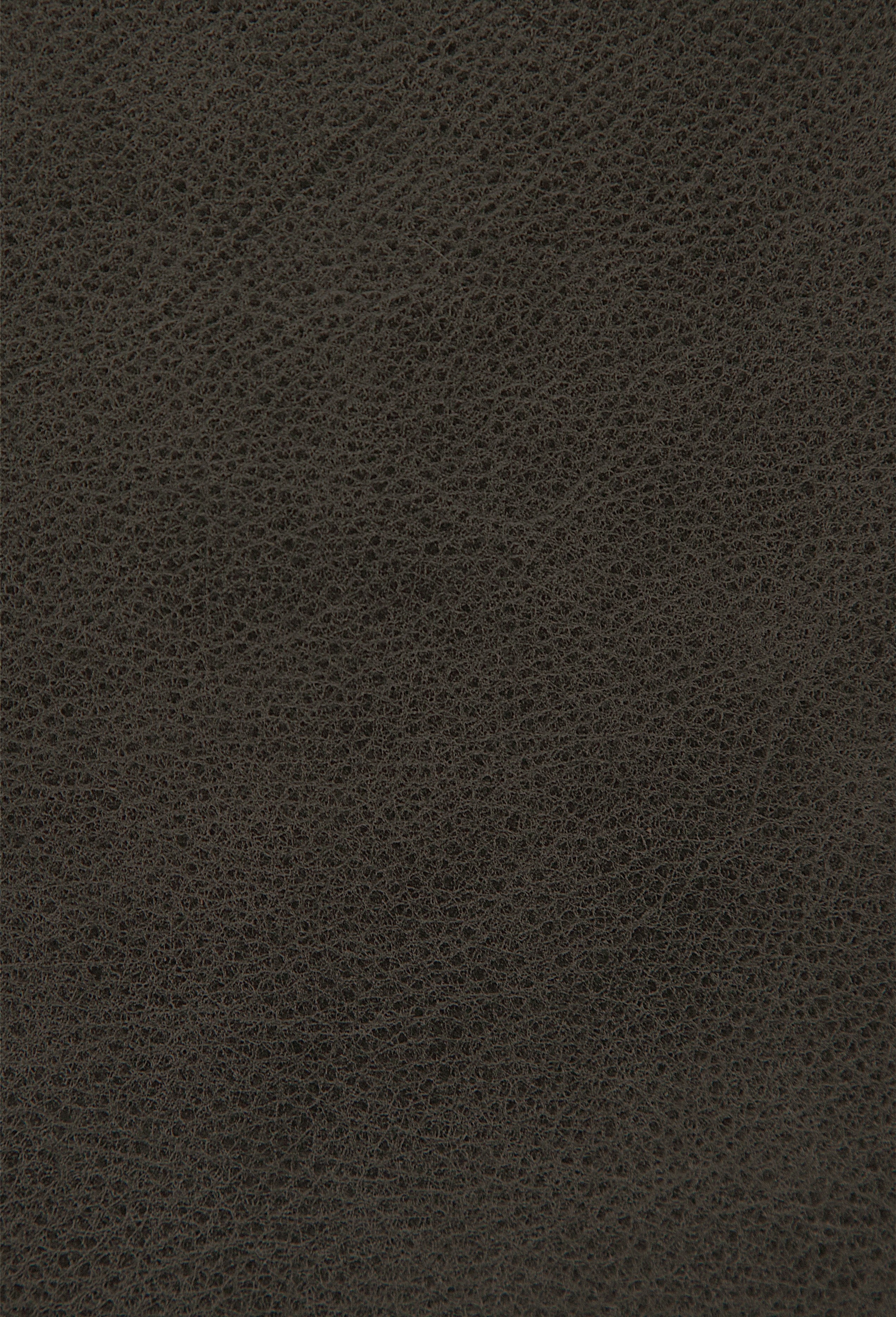 Appaloosa Slate