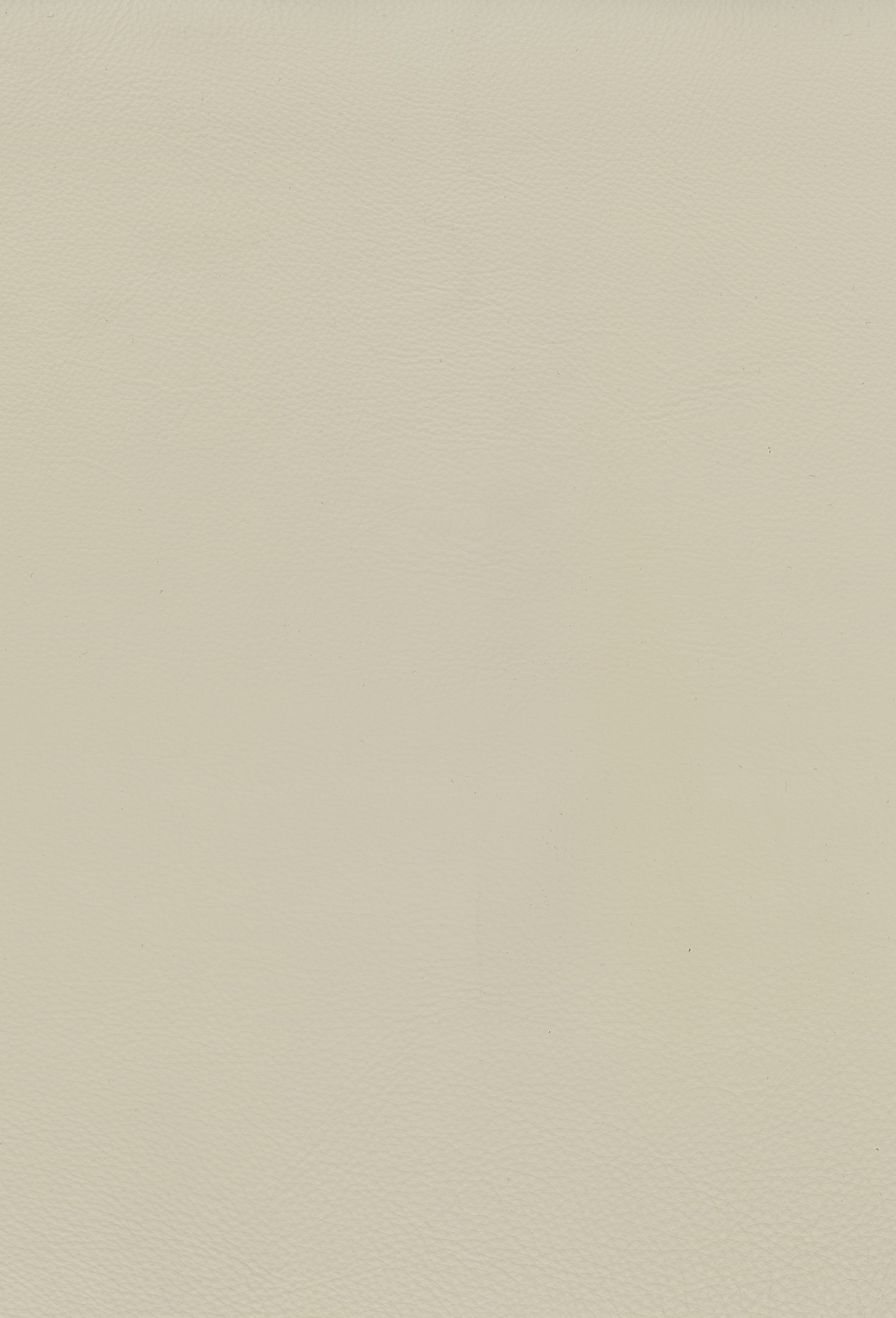 Bali Silk
