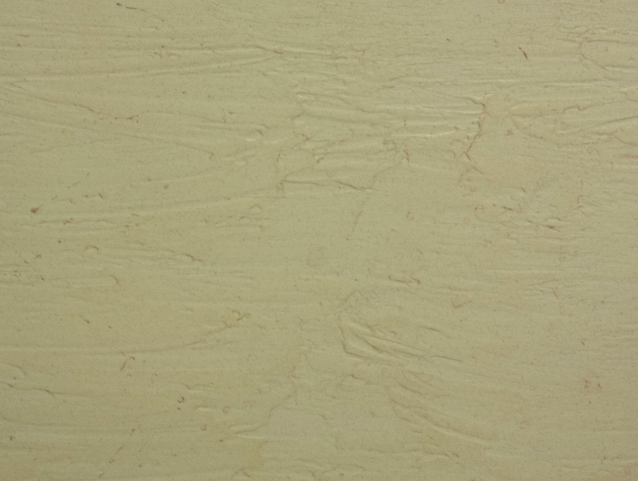 ARTISAN BIRCH