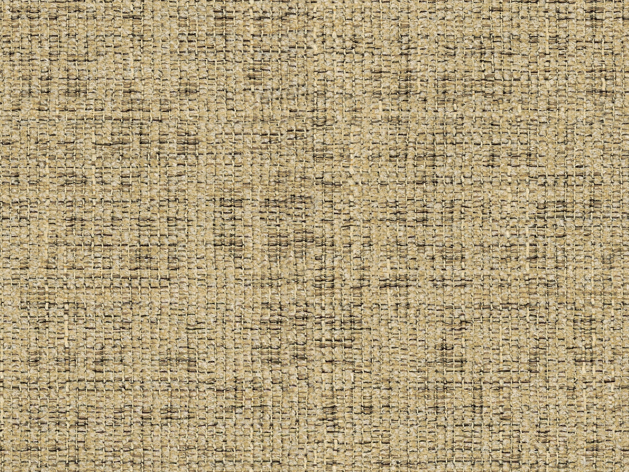 18629